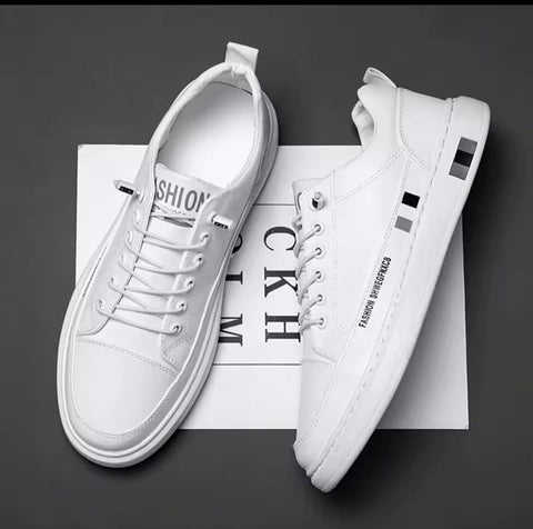 gid://shopify/MediaImage/25707778211910