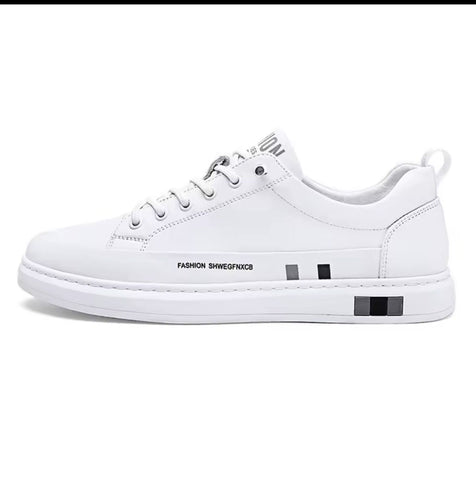 gid://shopify/MediaImage/25707778113606